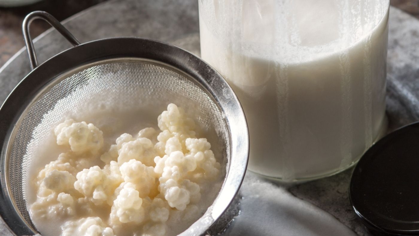 How to Make Homemade Milk Kefir | Révolution Fermentation