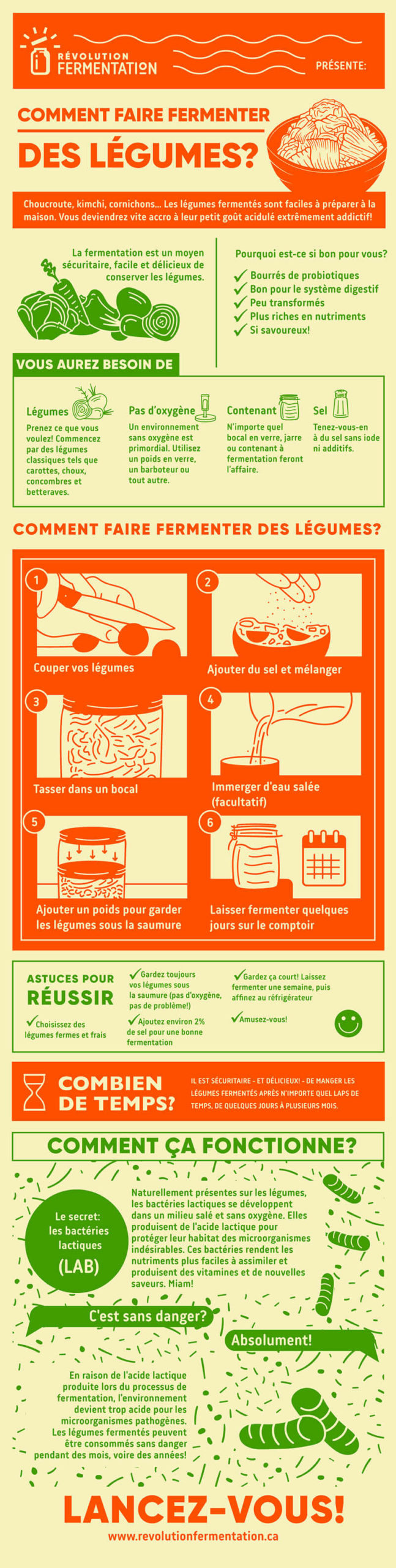 Infographie: Comment faire fermenter des légumes?