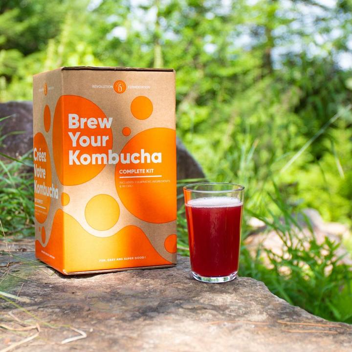 Kombucha Brewing kit to make kombucha at home