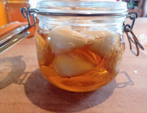 Lacto honey garlic jar