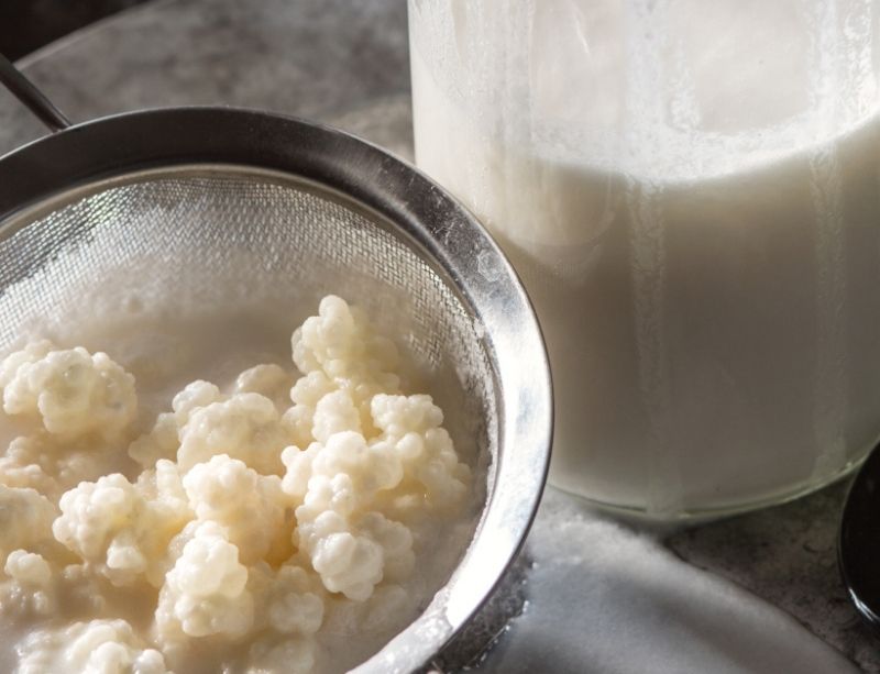 How to Activate Dehydrated Milk Kefir Grains