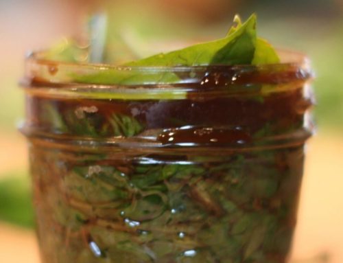 Fermented Basil Leaves Recipe