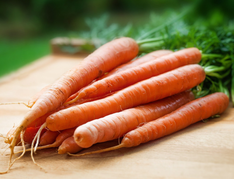 botte de carottes du jardin pour fermentation