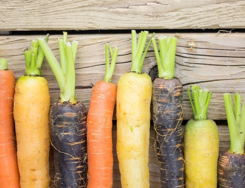 Various Fermented Carrot Recipes