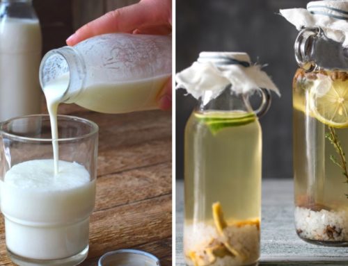 Water vs Milk Kefir: What is the Difference?