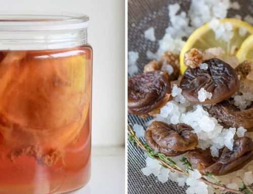 Water Kefir vs. Kombucha: What Is the Difference?