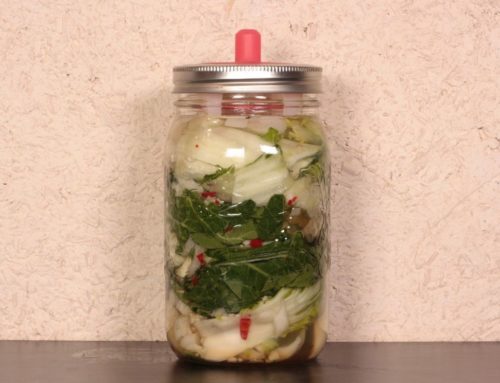 Dua Cai Chua Recipe (Vietnamese Fermented Cabbage)