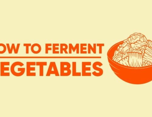 [Infographic] How to Make Fermented Vegetables?