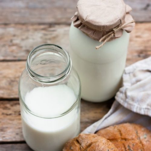 Comment faire du kéfir avec culture de kéfir de lait