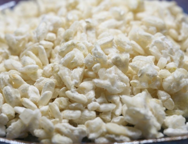 Koji de riz maison recouvert d’Aspergillus Orizae 