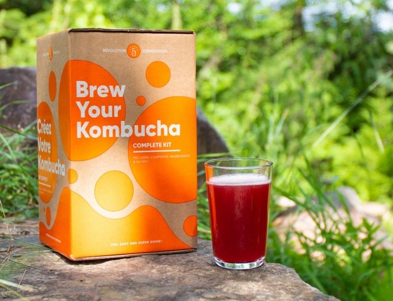 Kombucha fermenting kit