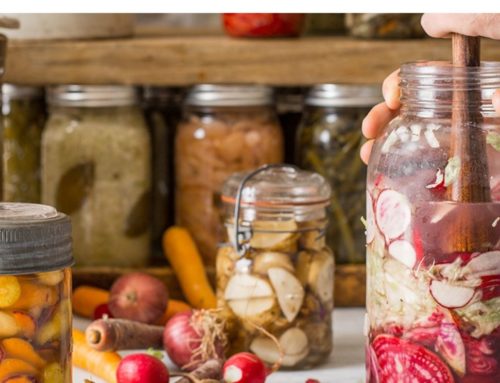 How to Choose the Best Lacto-Fermentation Supplies For Me