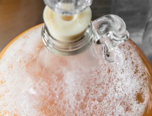 How to Make Apple Cider (and Apple Cider Vinegar)
