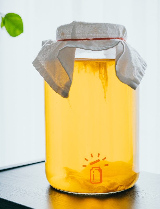 Glass Jar for Homemade Kombucha