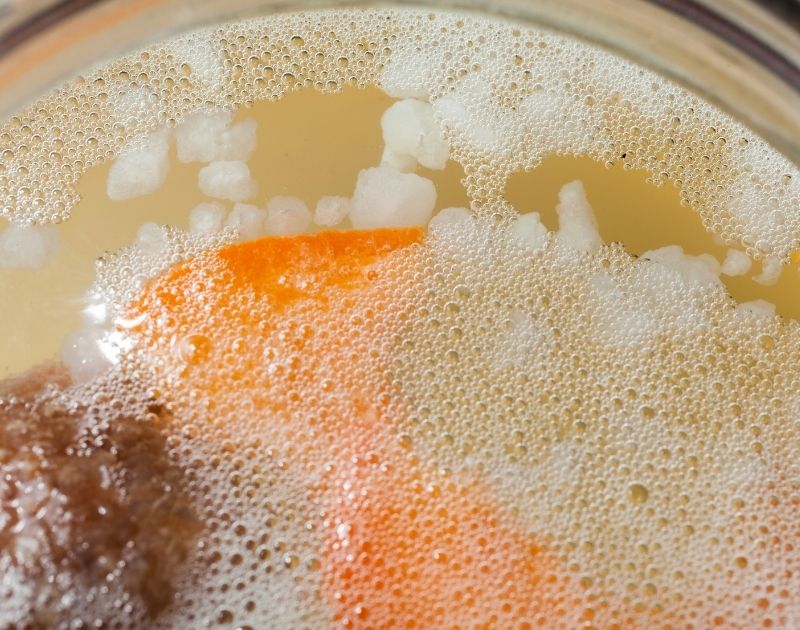 Normal White Foam on the Surface of Water Kefir