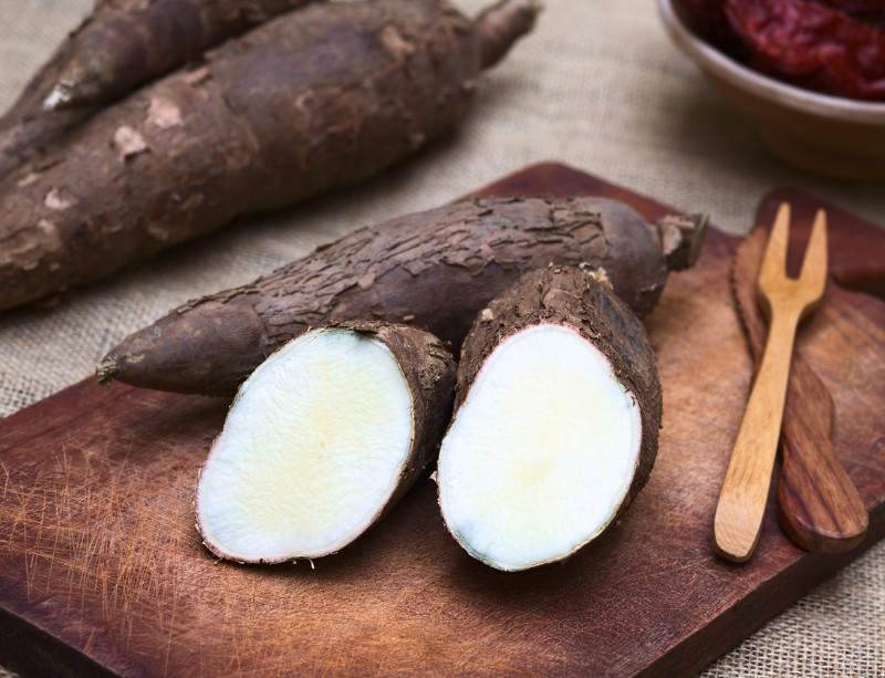 Fermented Cassava Roots Contain Less Cyanide