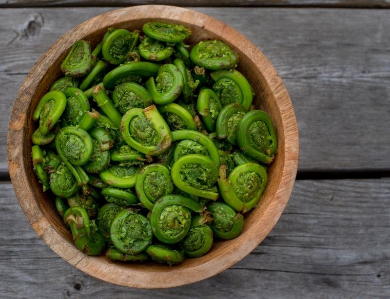 Cooked fiddleheads
