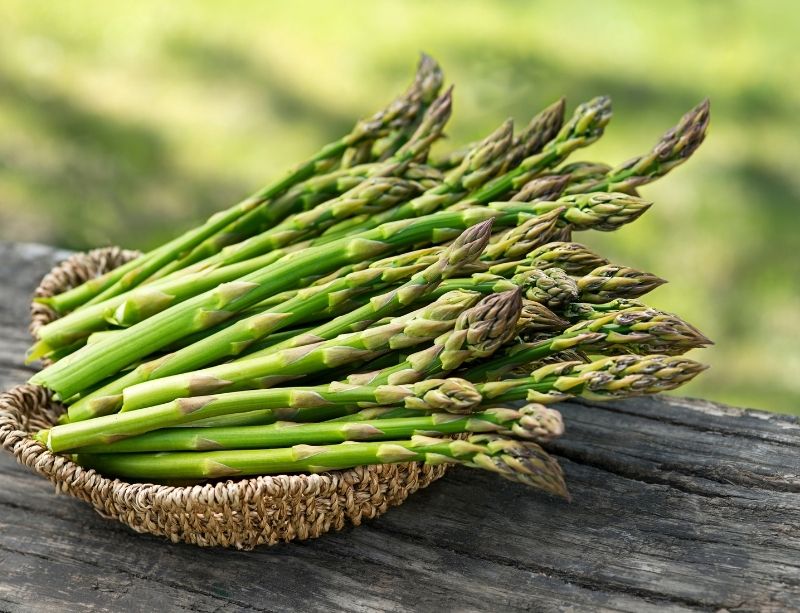 Spring Asparagus For fermentation