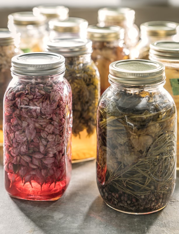Wild plants macerating in glass jars