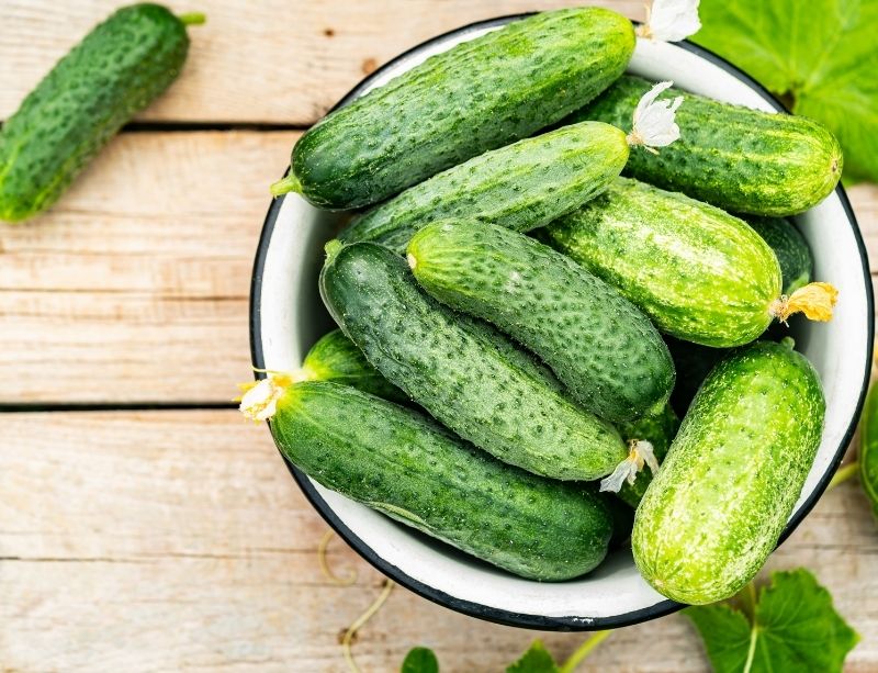 Small Summer Cucumbers to Ferment