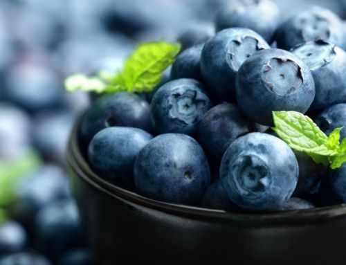 Homemade Blueberry Shrub Recipe