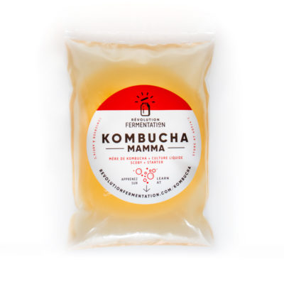 Acheter mère de kombucha faite au Canada