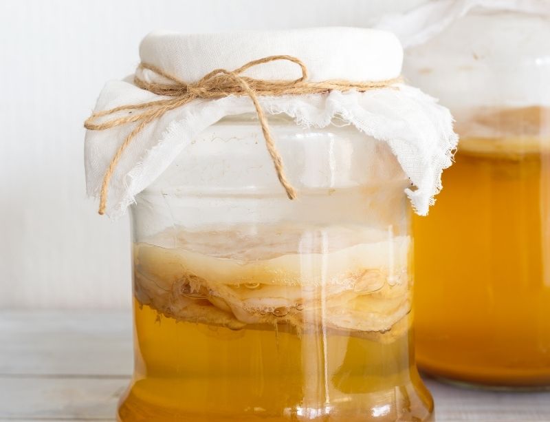 No dangers associated with kombucha scoby 