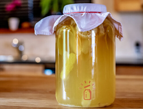 Recette de limonade pétillante fermentée (sima)