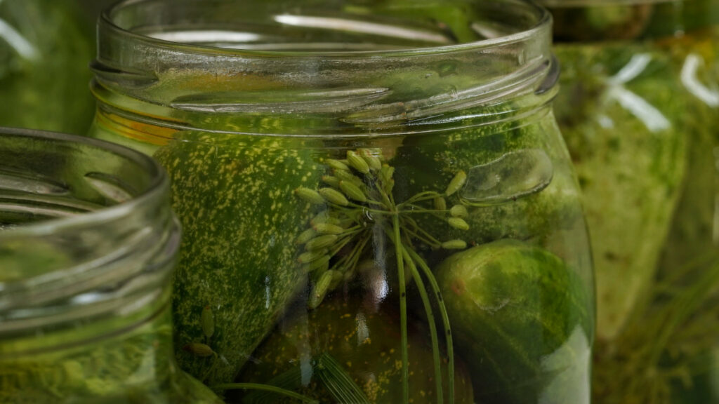 Fermented pickles dill inside jar