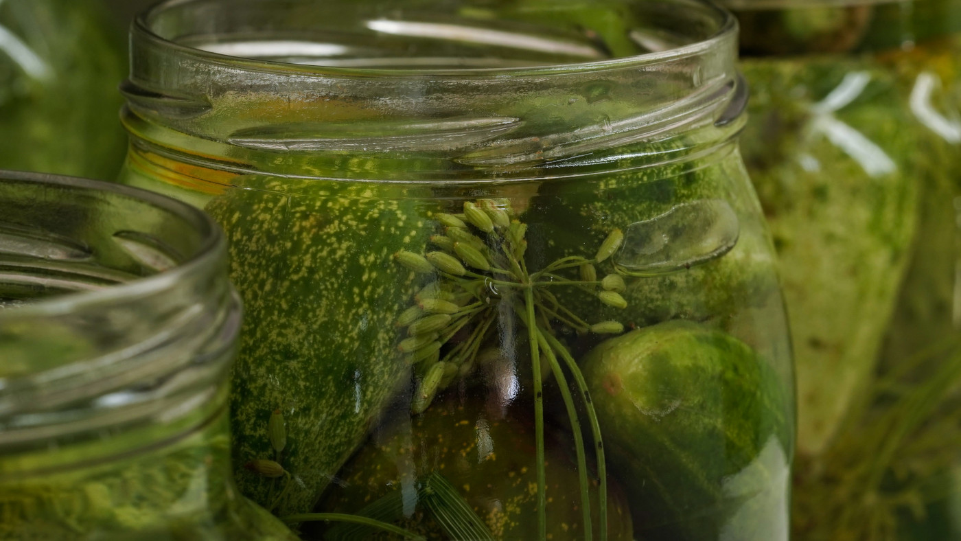 Fermented pickles dill inside jar