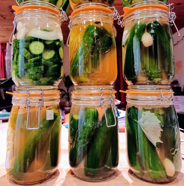 Crunchy pickles jars