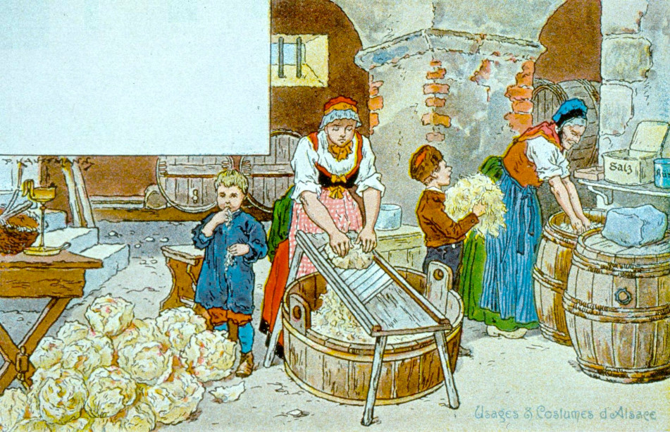 Making Alsatian Sauerkraut 1900