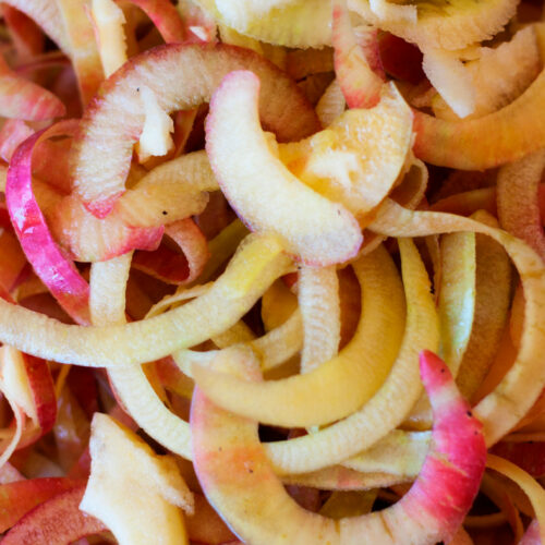 how to make vinegar from apple peels and scaps