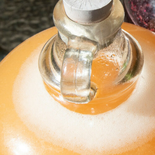 Fermentation hydromel vanille