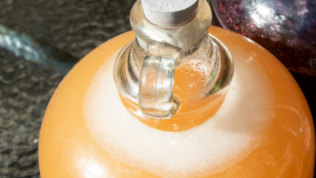 Fermentation of vanilla mead