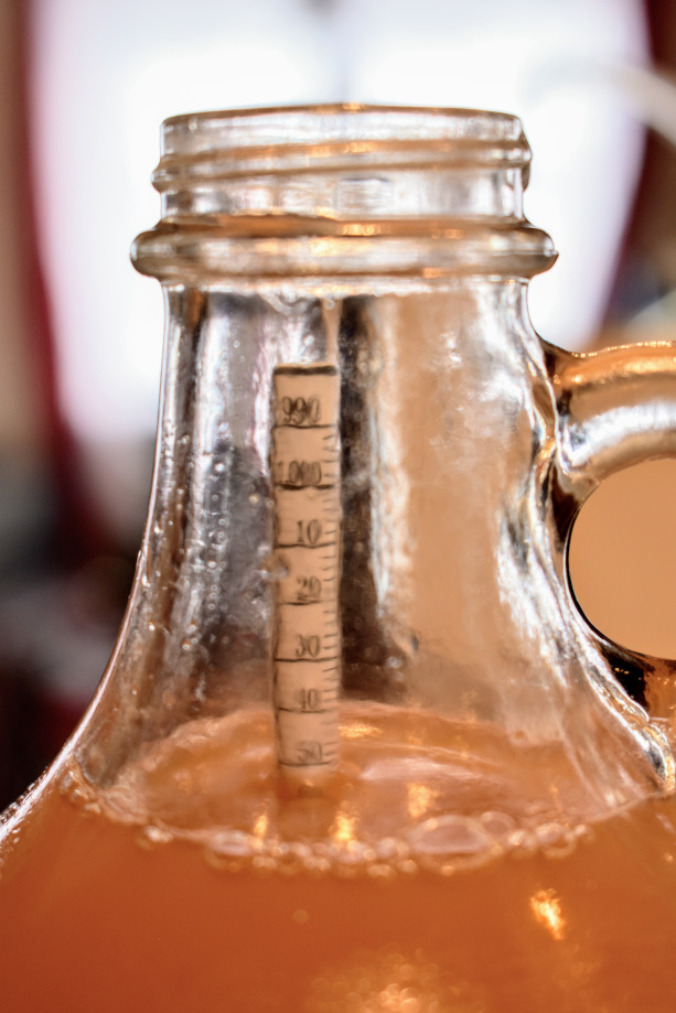 Measuring alcohol in cider with hydrometer
